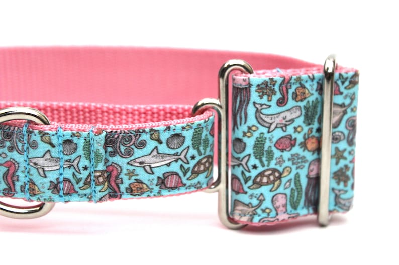 May include: A pink and blue dog collar with a sea life pattern. The collar has a silver buckle and a silver D-ring.