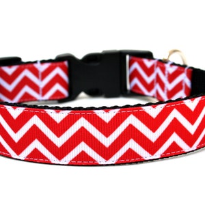 Striped Dog Collar 1&quot; Chevron Dog Collar