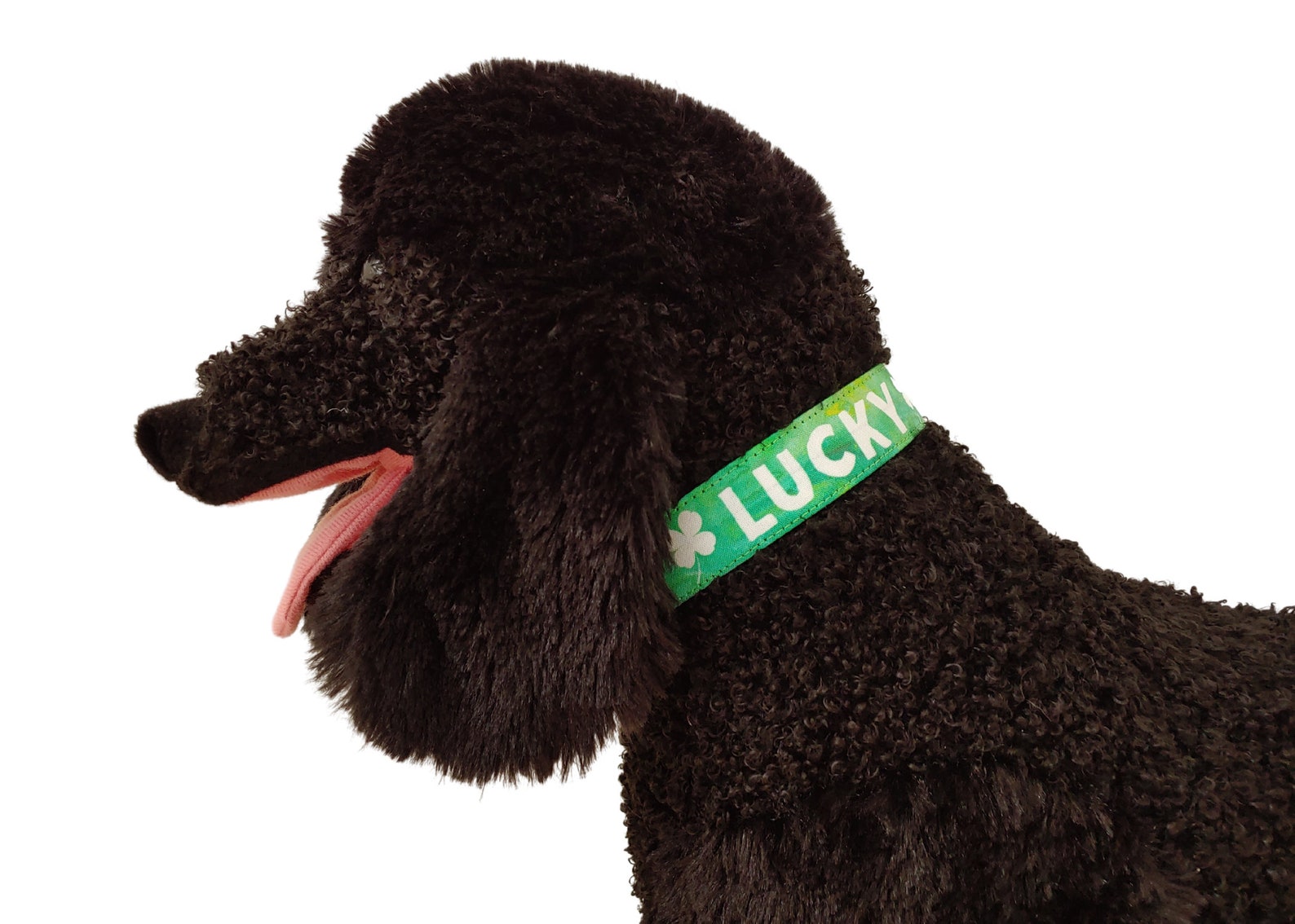 Lucky Dog Collar 1 St Patricks Day Dog Collar Shamrock Etsy