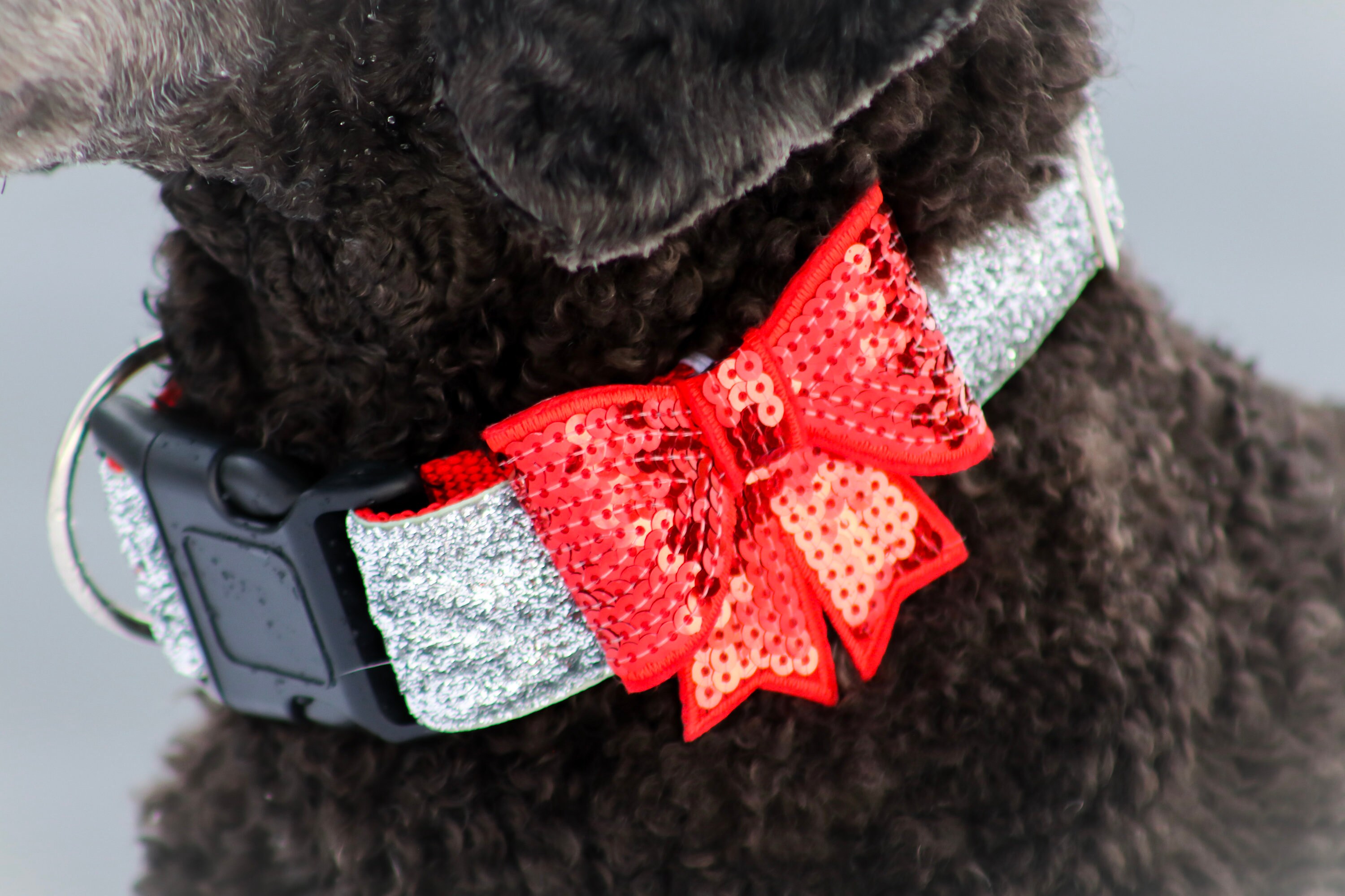 Dog collar Gloria Brown (85 x 4 cm)