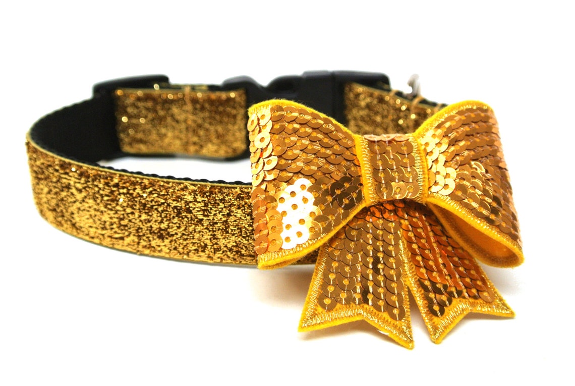 Gold Dog Collar 1 Gold Glitter Dog Collar Etsy