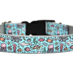 May include: A blue dog collar with a colorful sea life pattern. The collar is made of durable nylon and features a sturdy buckle.