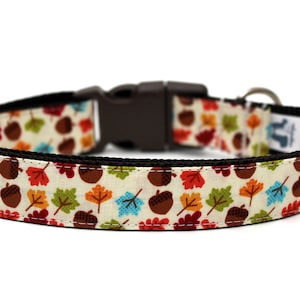 Fall Dog Collar 3/4" or 1" Autumn Dog Collar Boy Dog Collar Girl Dog Collar