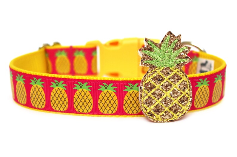 Pineapple Dog Collar 1 Summer Dog Collar Etsy