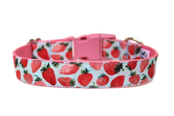 Strawberry dog collar Clearance