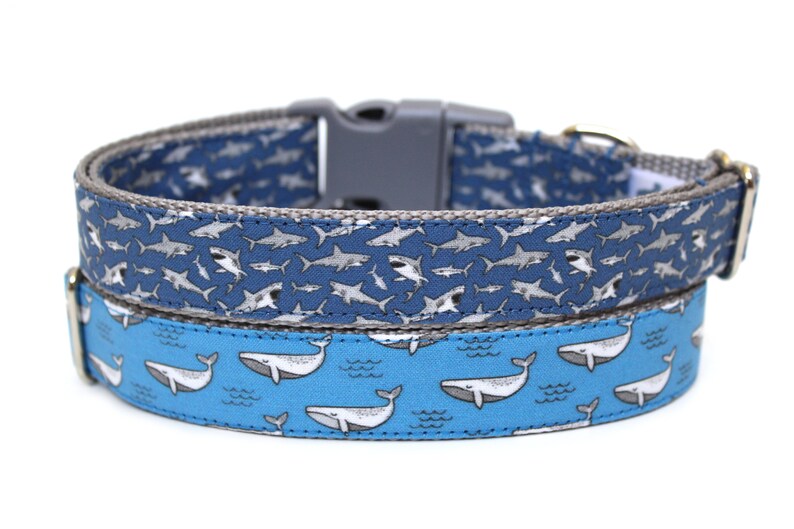 Shark Dog Collar 3/4 or 1 Boy Dog Collar | Etsy