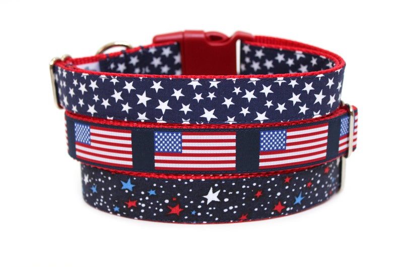 Patriotic Dog Collar 5/8 or 1 American Dog Collar image 4