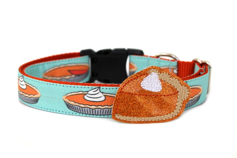 May include: A turquoise blue dog collar with a pumpkin pie design and a matching pumpkin pie charm. The collar has a black buckle and a red and orange trim.