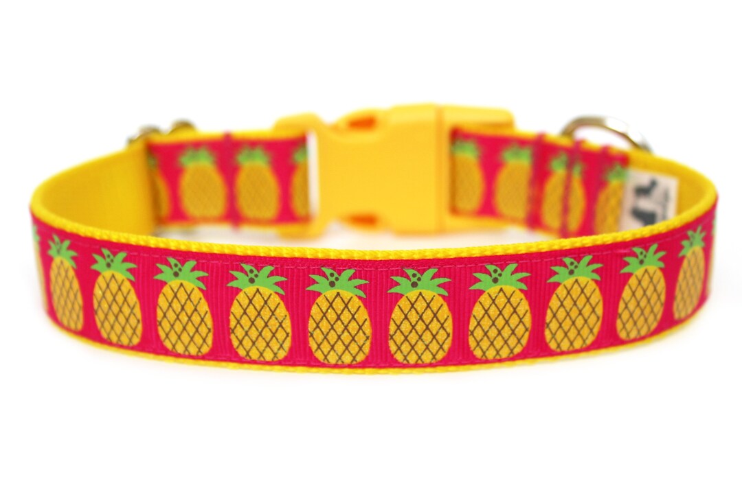 Pineapple Dog Collar 1 Summer Dog Collar Etsy