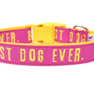 Best Dog Ever Dog Collar 1 Pink Dog Collar image 1