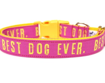 Best Dog Ever Collar, Pink Yellow Dog Collar for Girls