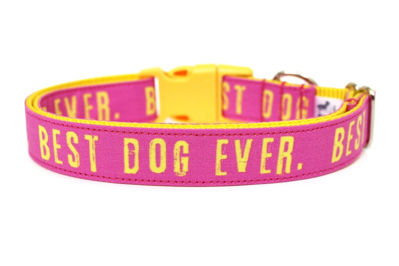 Best Dog Ever Dog Collar 1 Pink Dog Collar image 1