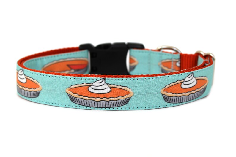 May include: A turquoise blue dog collar with a red trim and a repeating pattern of pumpkin pies with whipped cream on top.
