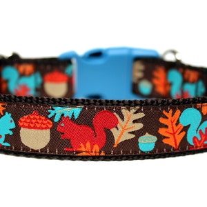 Squirrel Dog Collar 1" Fall Dog Collar