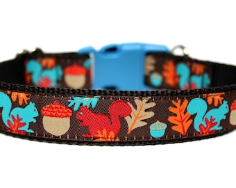 Squirrel Dog Collar, Woodland Dog Collar, Fall Dog Collar, Autumn Dog Collar, Acorn Dog Collar, Nature Dog Collar