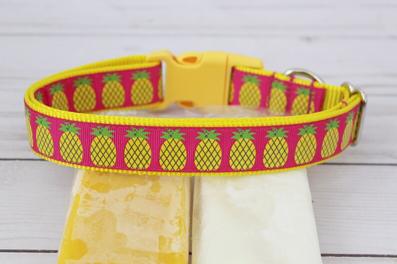 Pineapple Dog Collar 1 Summer Dog Collar Etsy