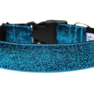 May include: A turquoise blue glitter dog collar with a black adjustable buckle and a silver D-ring.