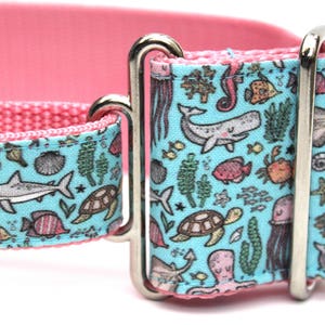 May include: A pink and blue dog collar with a silver buckle. The collar features a whimsical pattern of sea creatures, including whales, fish, seahorses, and turtles.
