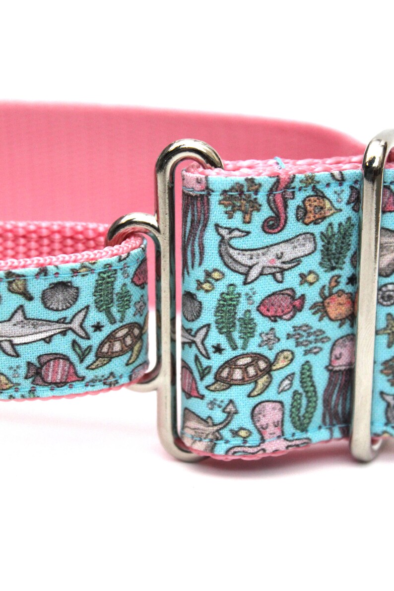 May include: A pink and blue dog collar with a silver buckle. The collar features a whimsical pattern of sea creatures, including whales, fish, seahorses, and turtles.