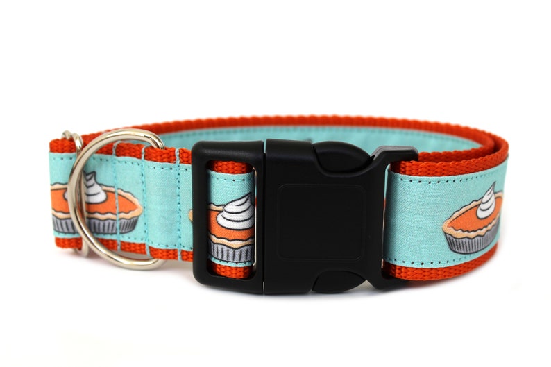 May include: A turquoise blue dog collar with orange trim and a black buckle. The collar features a repeating pattern of pumpkin pie slices with whipped cream.