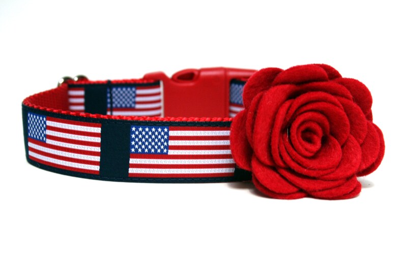 Patriotic Dog Collar 5/8 or 1 American Dog Collar image 3