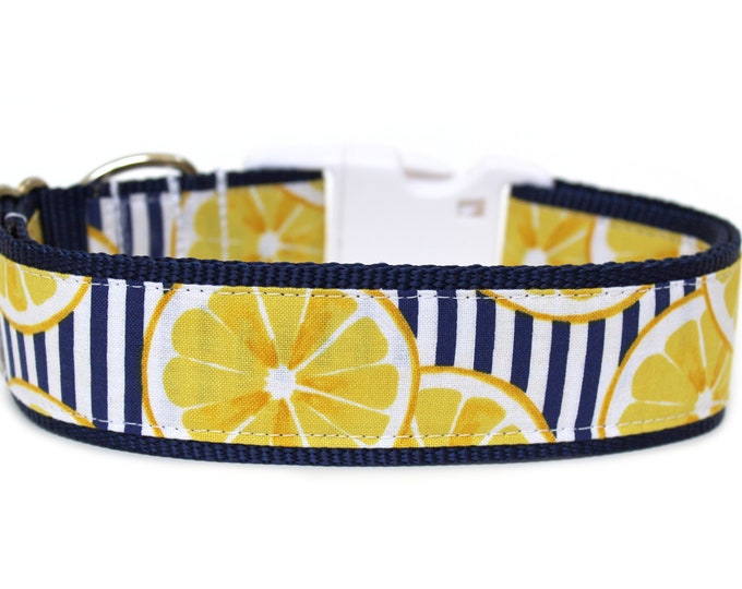Lemon Dog Collar 1 or 1.5 Stripe Dog Collar Summer Dog Collar Etsy