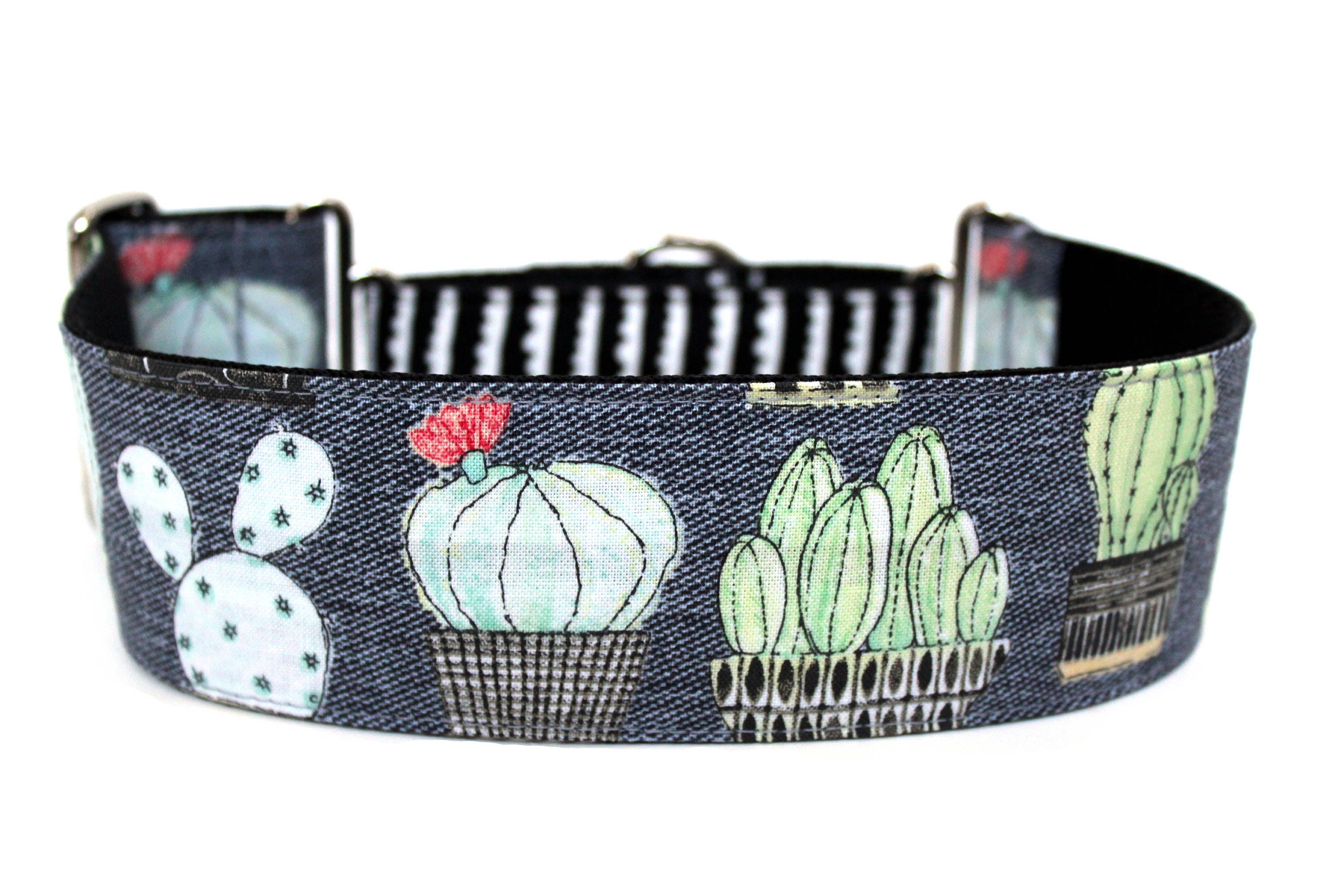 Cactus Dog Collar 2" Wide Martingale For Large Breed Dogs