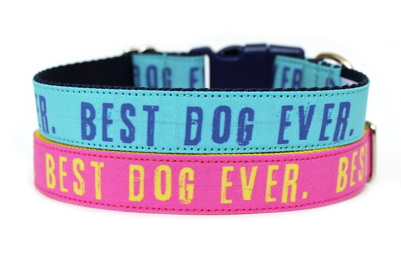 Best Dog Ever Dog Collar 1 Pink Dog Collar image 4