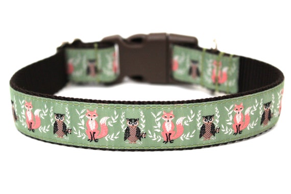 owl dog collar