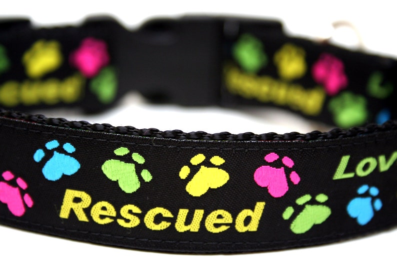 May include: Black dog collar with colorful paw prints in blue, green, yellow, and pink. The collar has the word "Rescued" in yellow and "Loved" in green. The collar has a black plastic buckle.