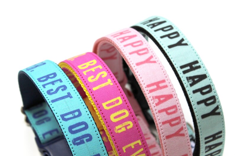 May include: Four dog collars in different colors with text. The collars are turquoise, pink, light blue, and dark blue. The text on the collars reads "Happy", "Happy", "Best Dog Ever", and "Best Dog Ever".