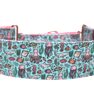 May include: A turquoise blue dog collar with a pink lining and a pattern of sea creatures, including octopuses, jellyfish, seahorses, and fish.