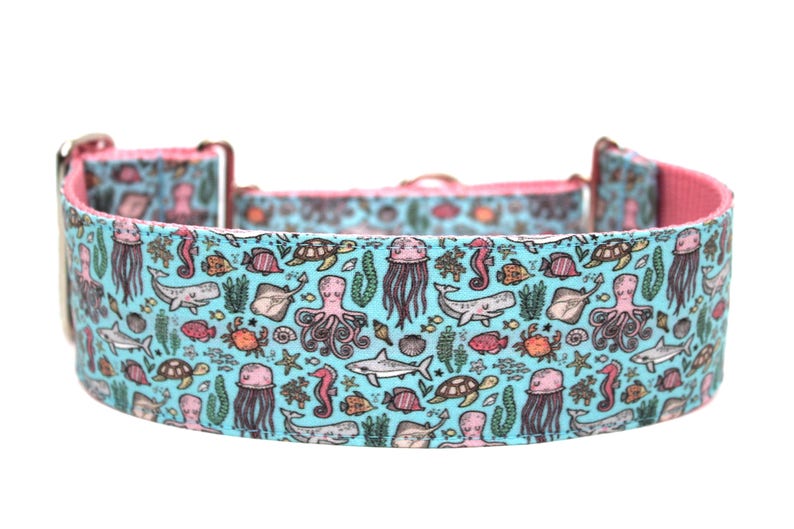 May include: A turquoise blue dog collar with a pink lining and a pattern of sea creatures, including octopuses, jellyfish, seahorses, and fish.