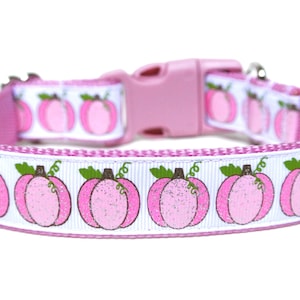 Op de afbeelding: Roze hondenhalsband met een wit lint met een herhalend patroon van roze pompoenen met groene stelen.