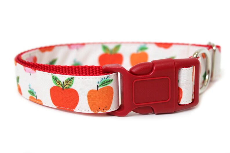 Apple Dog Collar 1 Fall Dog Collar Etsy