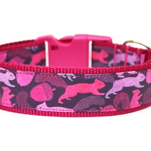 Eekhoorn halsband 1&quot; of 1,5&quot; herfsthalsband hondenhalsband meisjes