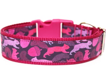 Pink Squirrel Dog Collar, Fall Dog Collar, Purple Dog Collar, Autumn Dog Collar, Girl Dog Collar