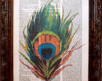 Peacock Feather Art Print on Dictionary Book Page