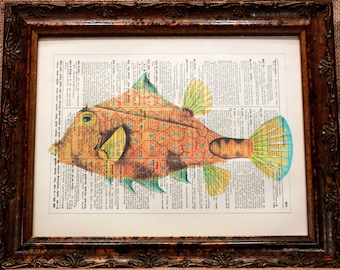 Humpback Turretfish Art Print from 1904 on Encyclopedic Dictionary Book Page from 1896