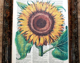 Sunflower Art Print from 1713 on Vintage Dictionary Book Page