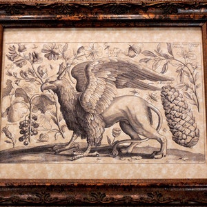 Griffin Line Art from 1600&#39;s Art Print on Parchment Paper