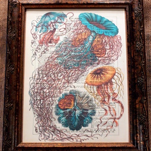Jellyfish Art Print from 1904 on Encyclopedic Dictionary Book Page from 1896