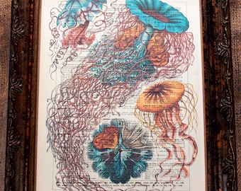 Jellyfish Art Print from 1904 on Encyclopedic Dictionary Book Page from 1896