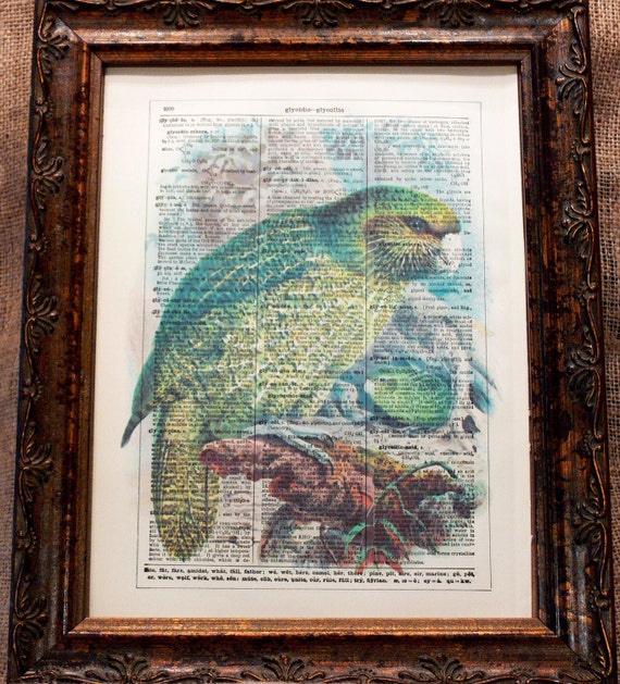 New Zealand Kakapo Art Print from 1888 on Encyclopedic Dictionary Book Page from 1896
