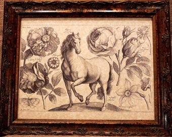 Horse Line Art from 1600's Art Print on Parchment Paper