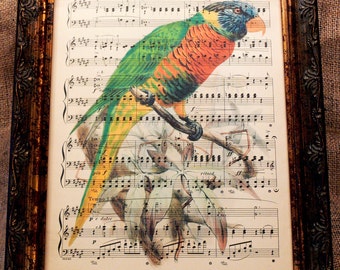 Australian Rainbow Lorikeet Parrot Art Print from 1881 on Antique Music Book Page