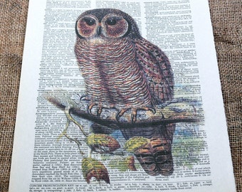 Vintage Mottled Wood Owl Art Print on Vintage Dictionary Book Page