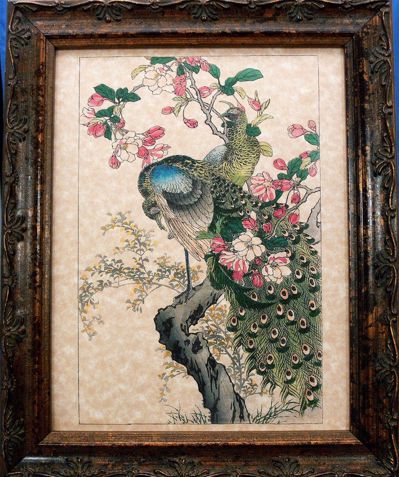 Japanese Peacock Art from 1899 Art Print on Parchment Paper image 1