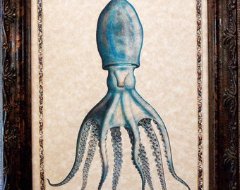 Octopus with Border Art Print from 1558 Art Print on Parchment Paper