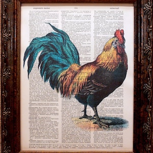 Rooster Art Print from 1890's on Dictionary Book Page